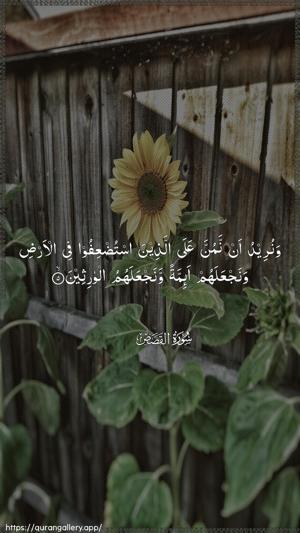 Al-Qasas Ayah 5 - Arabic wallpaper