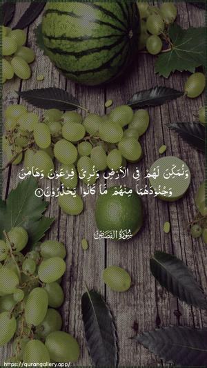 Al-Qasas Ayah 6 - Arabic wallpaper