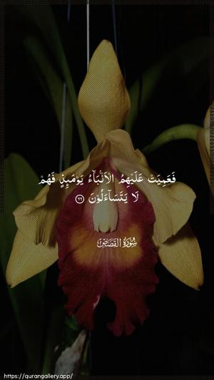 Al-Qasas Ayah 66 - Arabic wallpaper
