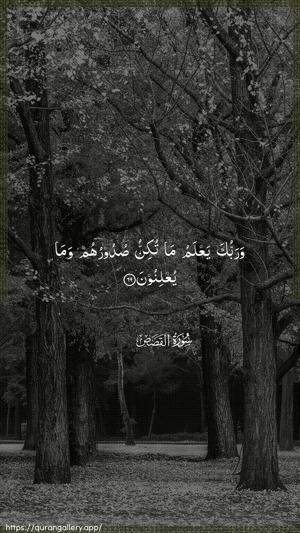 Al-Qasas Ayah 69 - Arabic wallpaper
