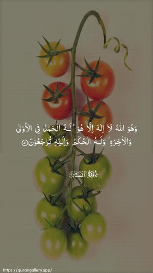 Al-Qasas Ayah 70 - Arabic wallpaper