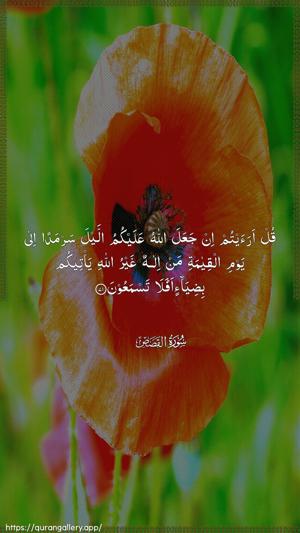 Al-Qasas Ayah 71 - Arabic wallpaper