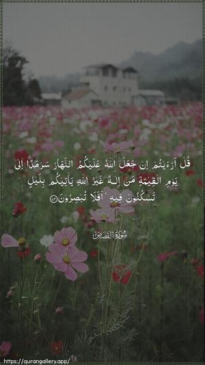 Al-Qasas Ayah 72 - Arabic wallpaper