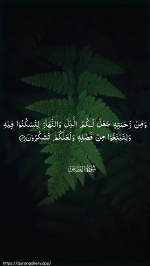 Al-Qasas Ayah 73 - Arabic wallpaper