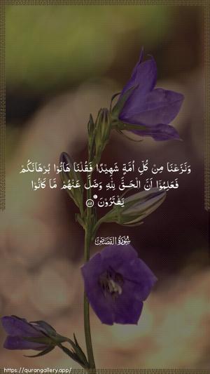 Al-Qasas Ayah 75 - Arabic wallpaper
