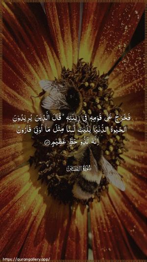 Al-Qasas Ayah 79 - Arabic wallpaper