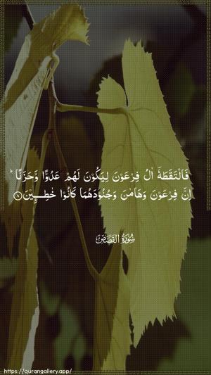 Al-Qasas Ayah 8 - Arabic wallpaper
