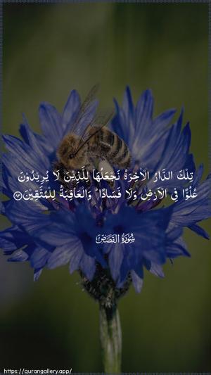 Al-Qasas Ayah 83 - Arabic wallpaper