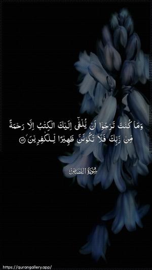 Al-Qasas Ayah 86 - Arabic wallpaper