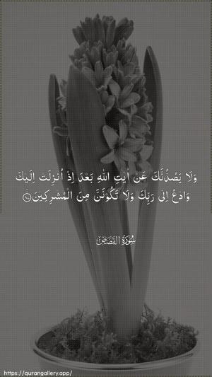 Al-Qasas Ayah 87 - Arabic wallpaper