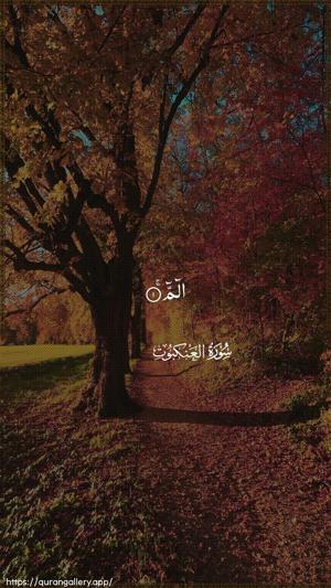 Al-Ankaboot Ayah 1 - Arabic wallpaper