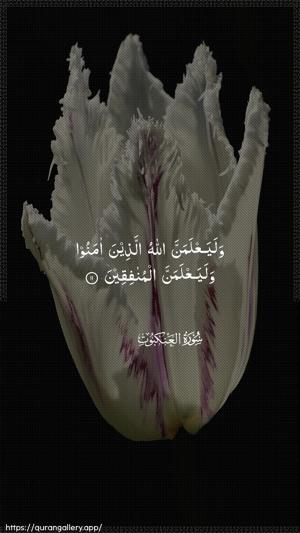 Al-Ankaboot Ayah 11 - Arabic wallpaper