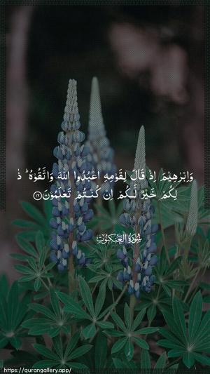 Al-Ankaboot Ayah 16 - Arabic wallpaper