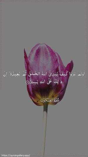 Al-Ankaboot Ayah 19 - Arabic wallpaper