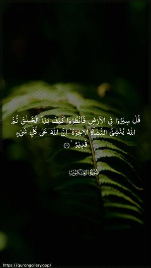 Al-Ankaboot Ayah 20 - Arabic wallpaper