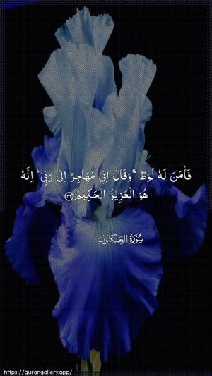 Al-Ankaboot Ayah 26 - Arabic wallpaper