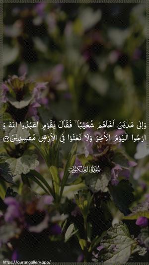 Al-Ankaboot Ayah 36 - Arabic wallpaper