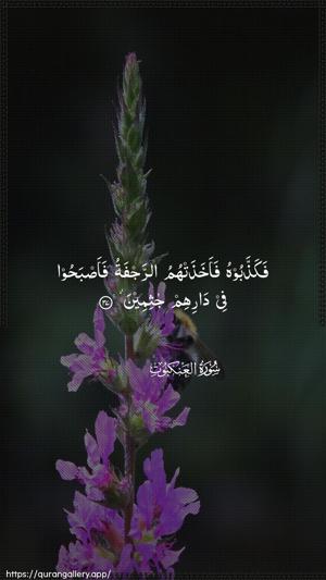 Al-Ankaboot Ayah 37 - Arabic wallpaper