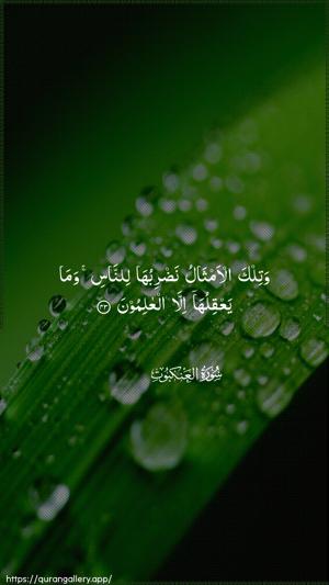 Al-Ankaboot Ayah 43 - Arabic wallpaper