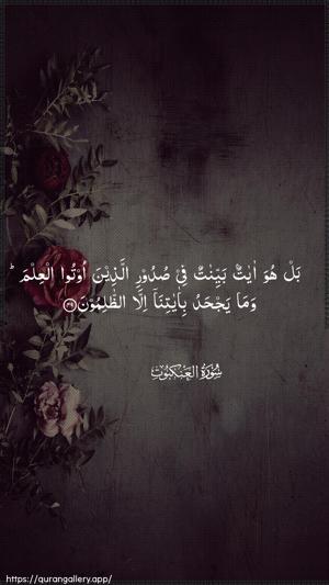 Al-Ankaboot Ayah 49 - Arabic wallpaper