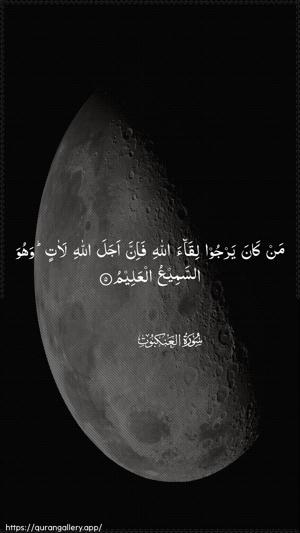 Al-Ankaboot Ayah 5 - Arabic wallpaper