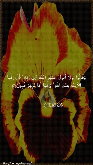 Al-Ankaboot Ayah 50 - Arabic wallpaper
