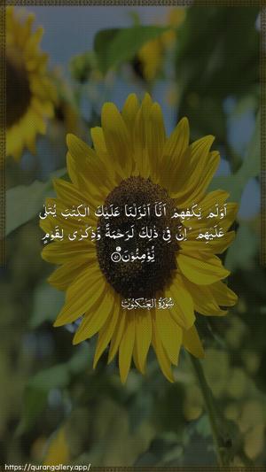 Al-Ankaboot Ayah 51 - Arabic wallpaper