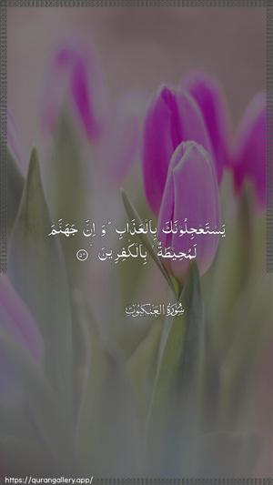 Al-Ankaboot Ayah 54 - Arabic wallpaper