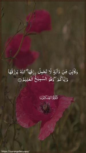 Al-Ankaboot Ayah 60 - Arabic wallpaper