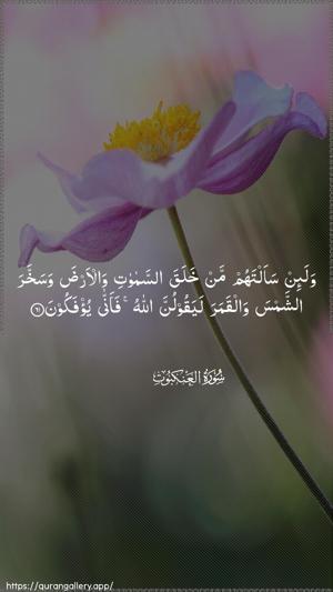 Al-Ankaboot Ayah 61 - Arabic wallpaper