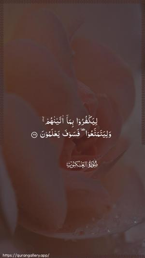 Al-Ankaboot Ayah 66 - Arabic wallpaper