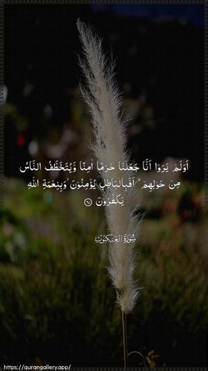Al-Ankaboot Ayah 67 - Arabic wallpaper