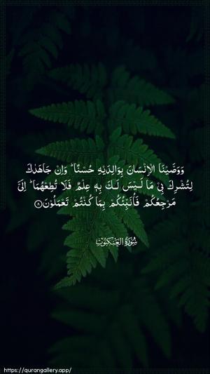 Al-Ankaboot Ayah 8 - Arabic wallpaper