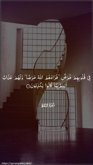 Al-Baqara Ayah 10 - Arabic wallpaper
