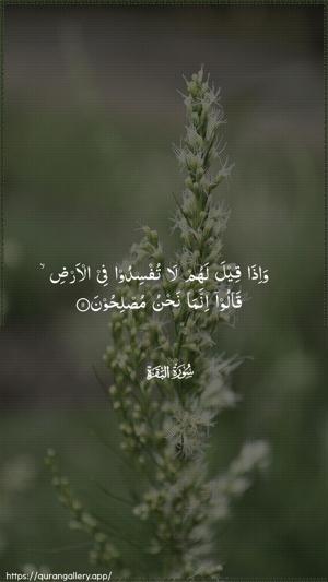 Al-Baqara Ayah 11 - Arabic wallpaper