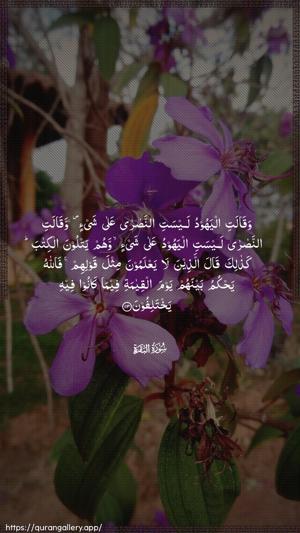 Al-Baqara Ayah 113 - Arabic wallpaper