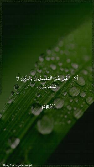 Al-Baqara Ayah 12 - Arabic wallpaper