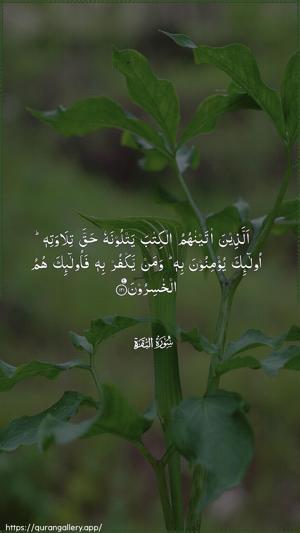 Al-Baqara Ayah 121 - Arabic wallpaper