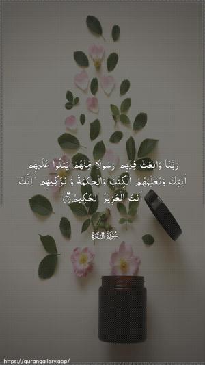 Al-Baqara Ayah 129 - Arabic wallpaper