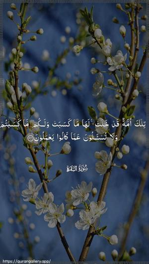 Al-Baqara Ayah 134 - Arabic wallpaper