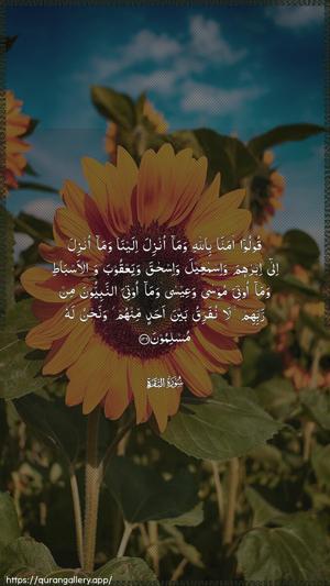Al-Baqara Ayah 136 - Arabic wallpaper
