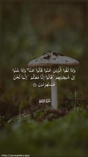 Al-Baqara Ayah 14 - Arabic wallpaper