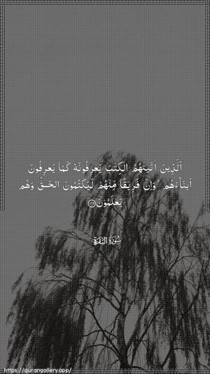 Al-Baqara Ayah 146 - Arabic wallpaper