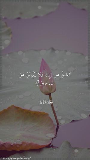 Al-Baqara Ayah 147 - Arabic wallpaper