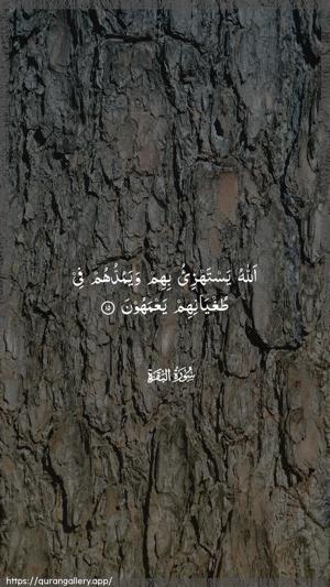 Al-Baqara Ayah 15 - Arabic wallpaper