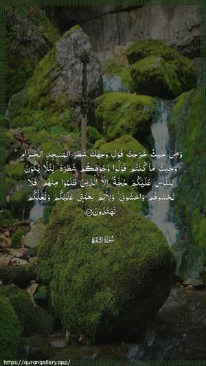 Al-Baqara Ayah 150 - Arabic wallpaper