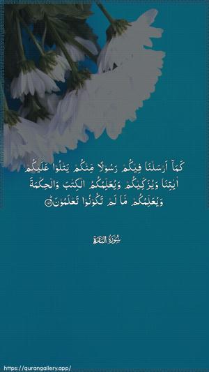 Al-Baqara Ayah 151 - Arabic wallpaper