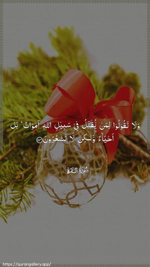 Al-Baqara Ayah 154 - Arabic wallpaper