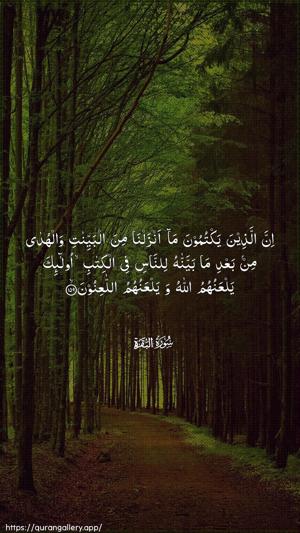 Al-Baqara Ayah 159 - Arabic wallpaper