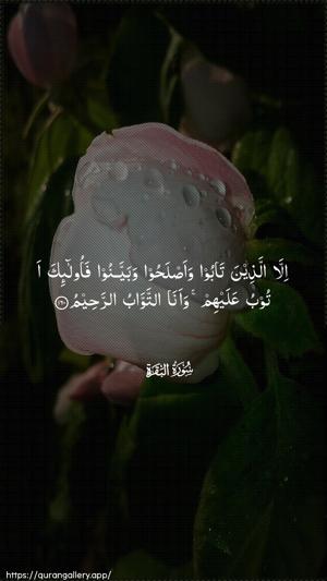 Al-Baqara Ayah 160 - Arabic wallpaper
